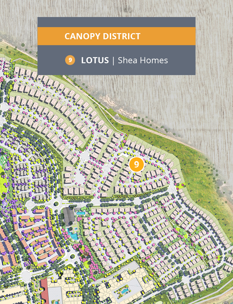 Lotus Mobile Map